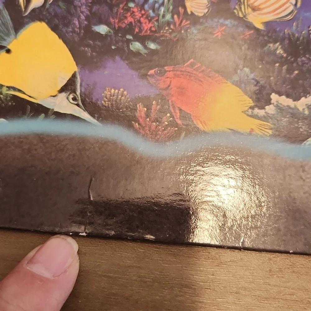 Stuart Hall Anthony Casay school folder oceans dolphins used condition from 1997